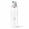 Ultrasonic Skin Scrubber